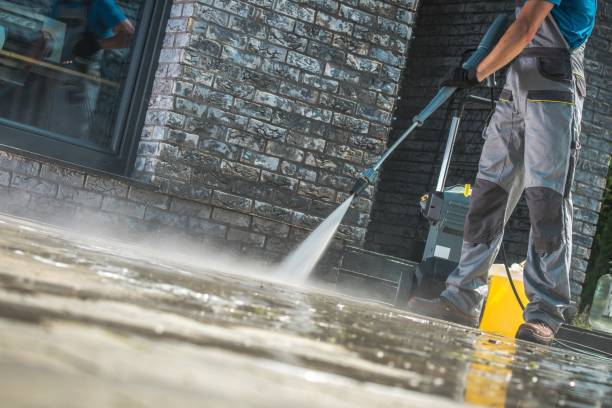 Best Patio and Deck Pressure Washing  in Wacousta, MI