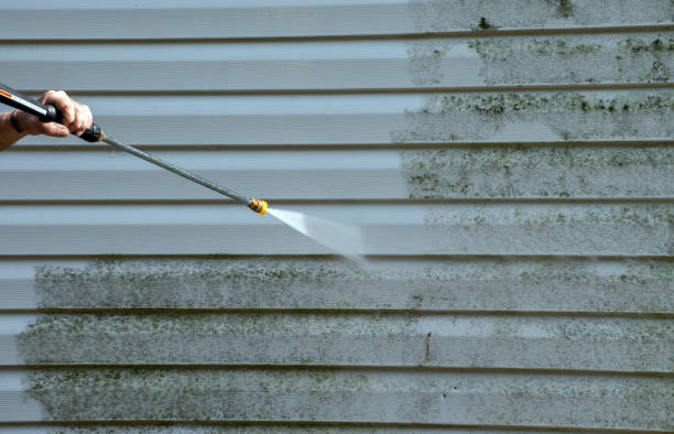 Best Solar Panel Cleaning  in Wacousta, MI